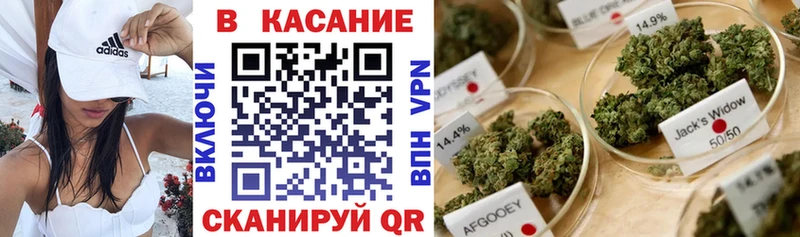 Где найти наркотики Сосновый Бор Кокаин  МАРИХУАНА  Меф мяу мяу  ГАШИШ 