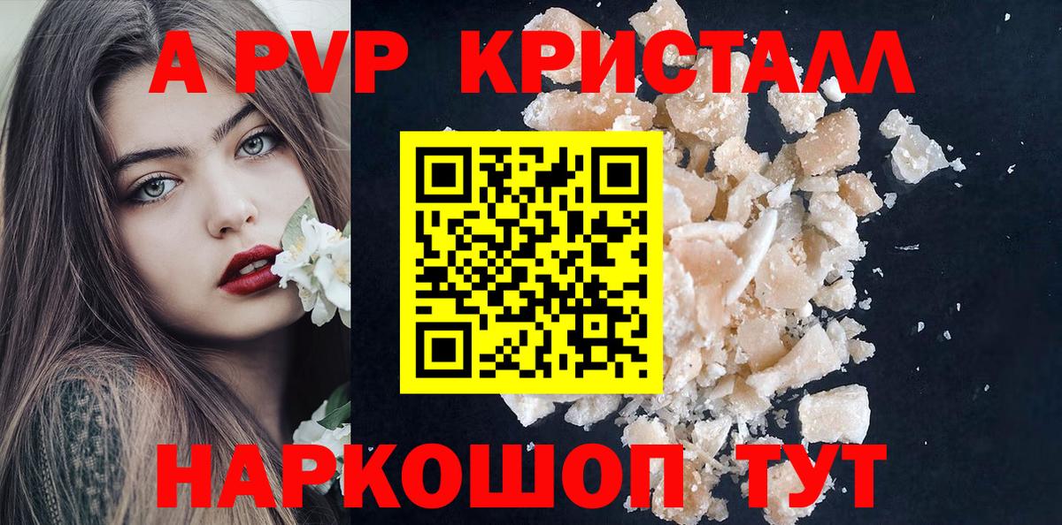 Альфа ПВП СК Сосновый Бор