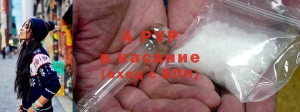 стафф Алзамай