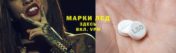 стафф Алзамай