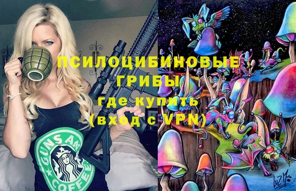 стафф Алзамай