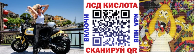 купить наркоту  Сосновый Бор  гидра вход  Марки 25I-NBOMe 1500мкг 