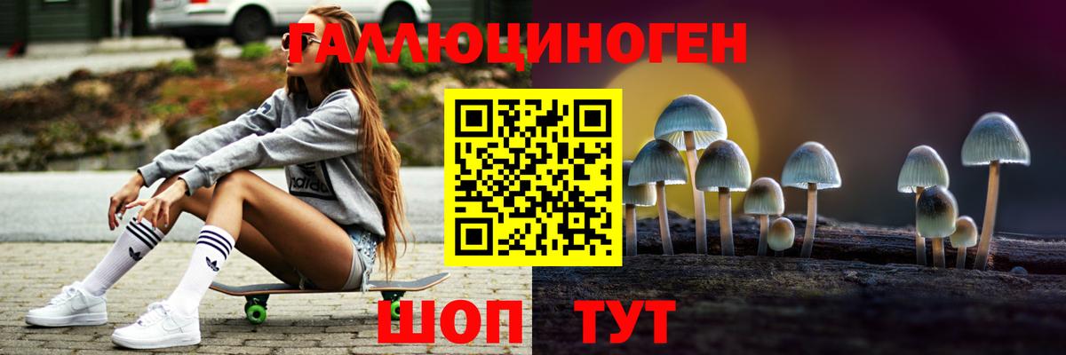 Псилоцибиновые грибы прущие грибы Сосновый Бор